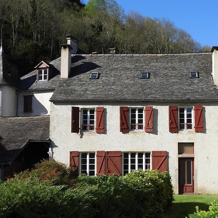 Gite Chaneue Osse-en-Aspe Extérieur photo