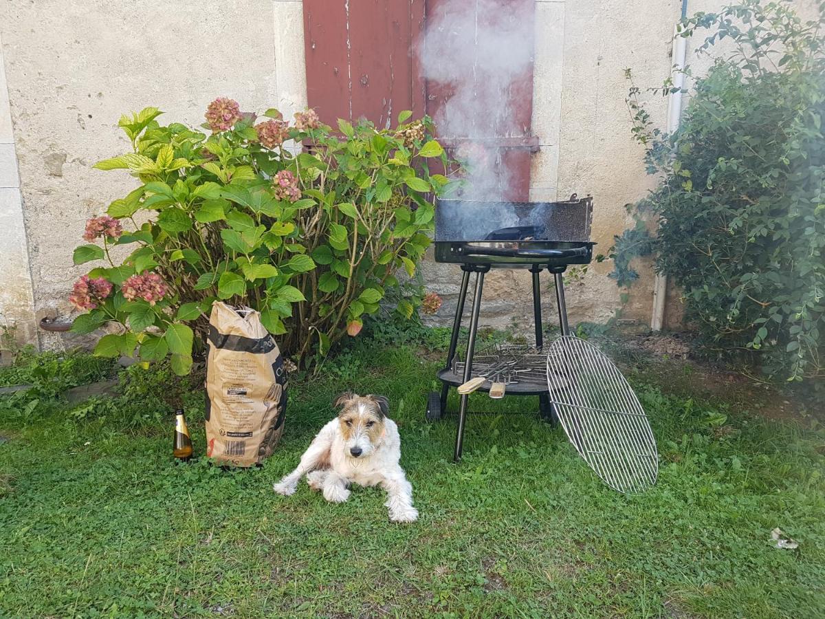 Gite Chaneue Osse-en-Aspe Extérieur photo